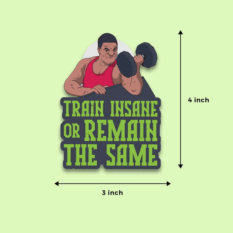 Train Insane Fridge Magnet